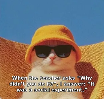 When the teacher asks “Why didn’t you do it?”, I answer: “It was a social experiment.”