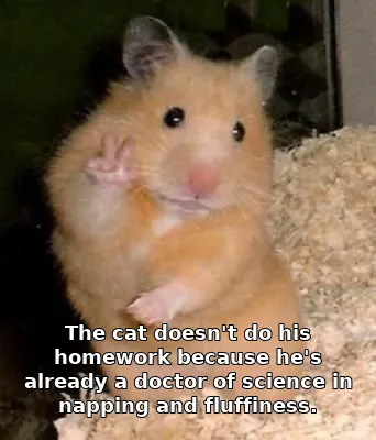 The cat doesn't do his homework because he's already a doctor of science in nap…