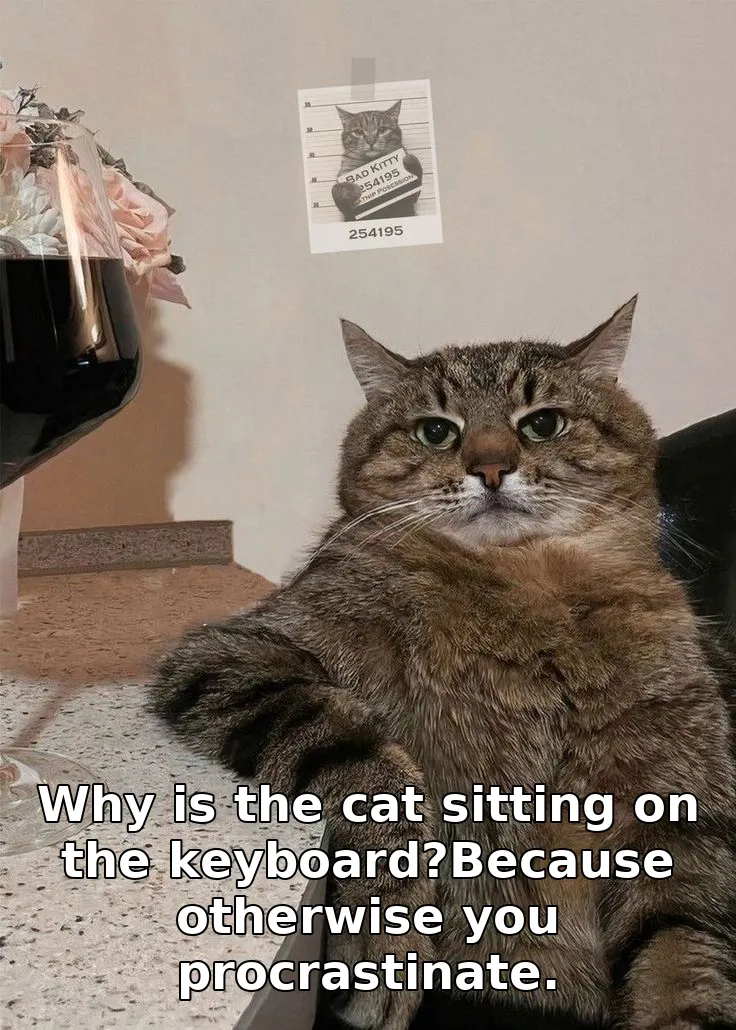 Why is the cat sitting on the keyboard?Because otherwise you procrastinate.