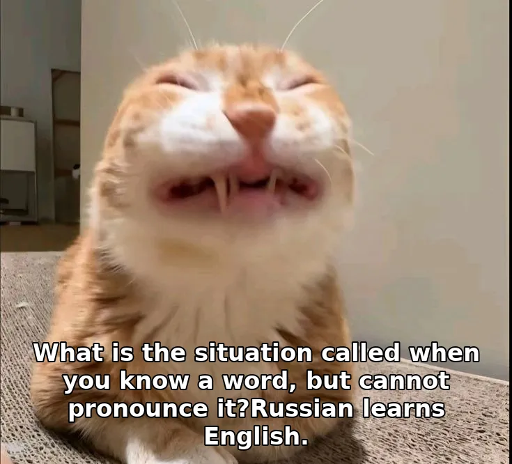 What is the situation called when you know a word, but cannot pronounce it?Russ…