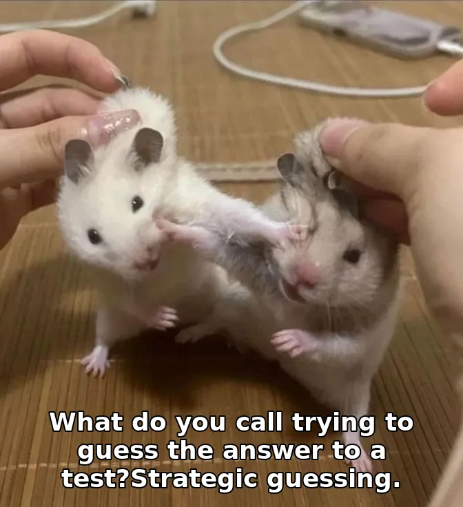 Meme image