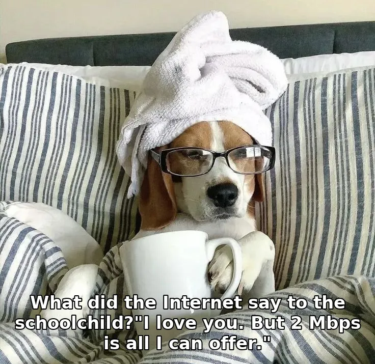 What did the Internet say to the schoolchild?"I love you. But 2 Mbps is all I c…