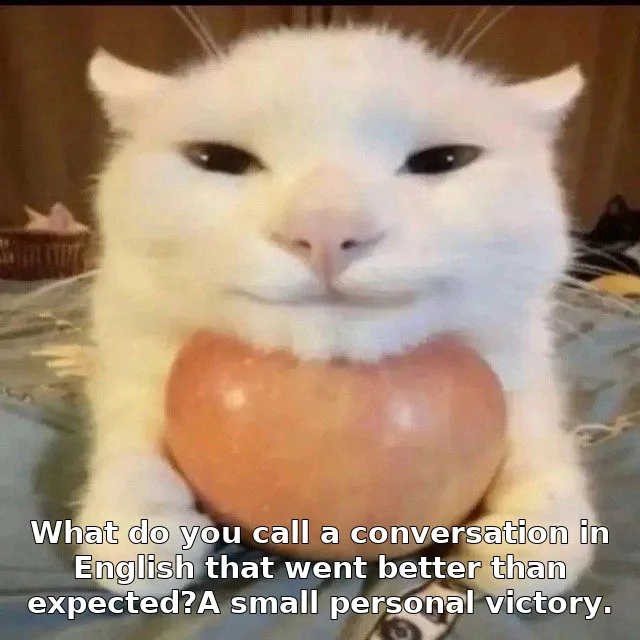 What do you call a conversation in English that went better than expected?A small personal victory.