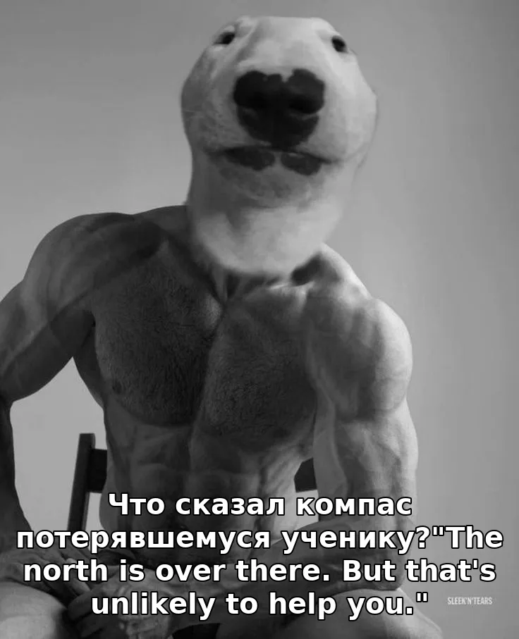 Что сказал компас потерявшемуся ученику?"The north is over there. But that's unlikely to help you."