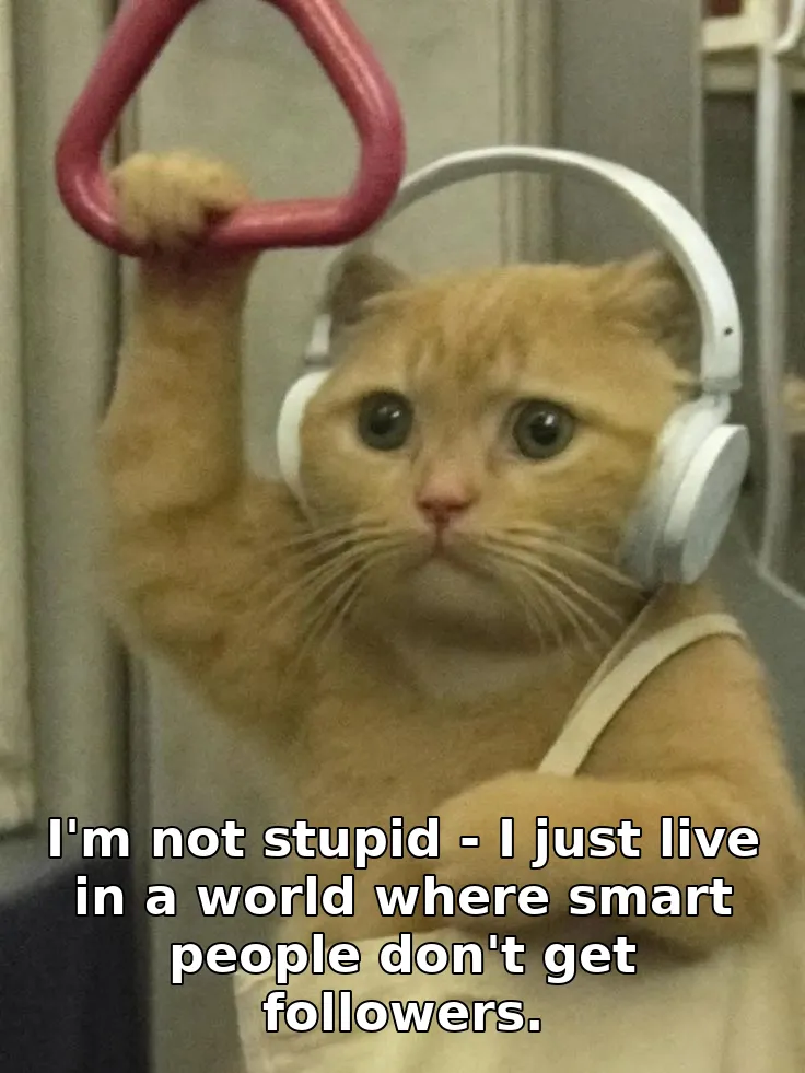 I'm not stupid - I just live in a world where smart people don't get followers.
