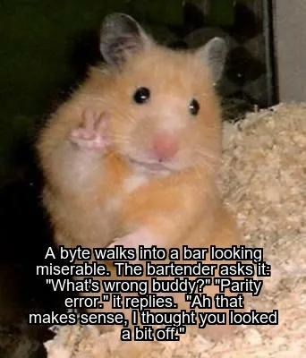 A byte walks into a bar looking miserable.
The bartender asks it: "What's wrong…