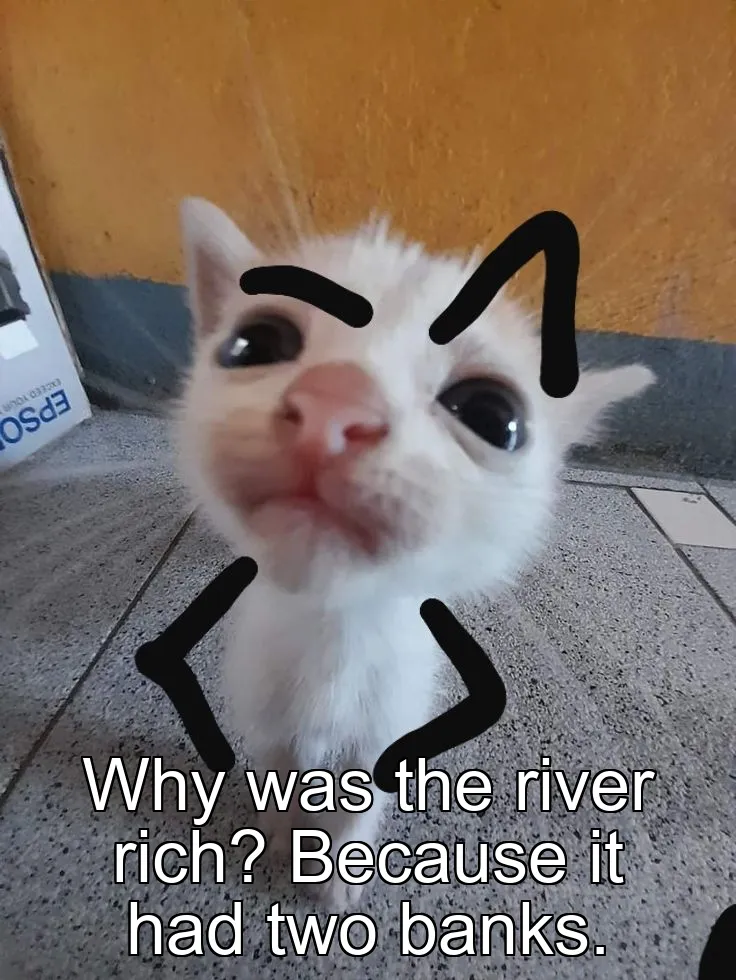 Why was the river rich? Because it had two banks.