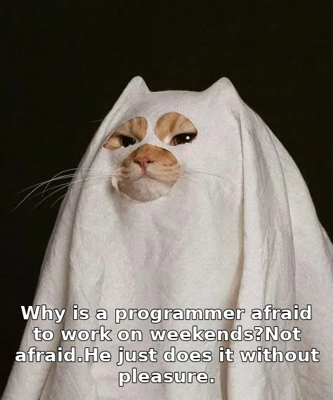 Why is a programmer afraid to work on weekends?Not afraid.He just does it witho…