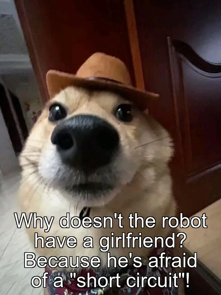 Why doesn't the robot have a girlfriend? Because he's afraid of a "short circuit"!