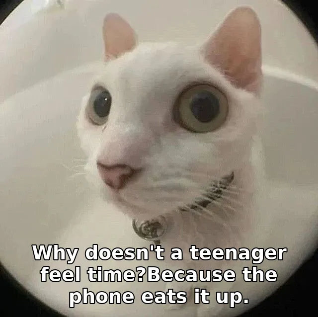 Why doesn't a teenager feel time?Because the phone eats it up.
