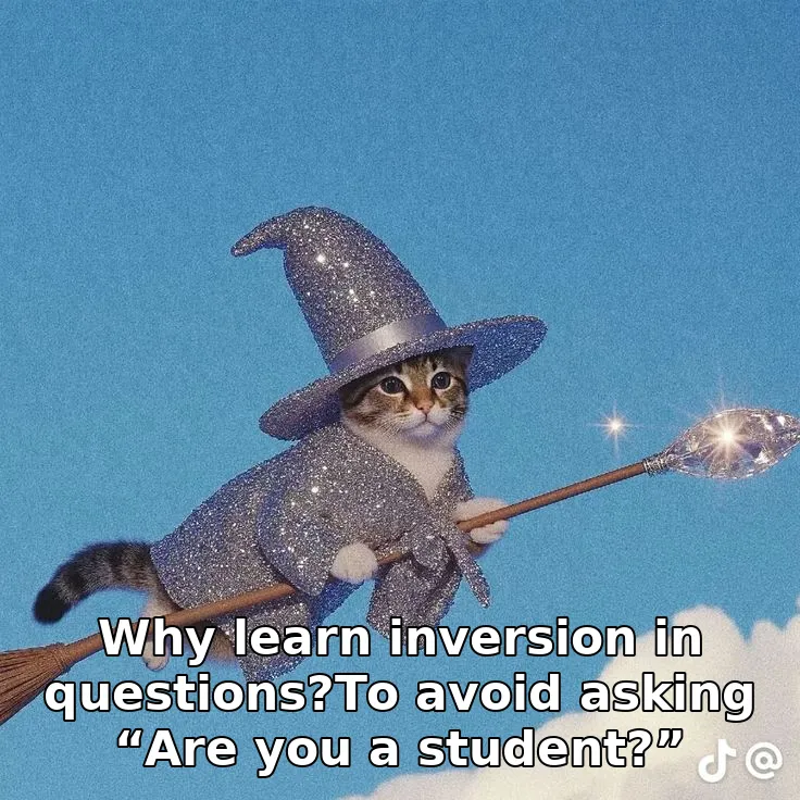Why learn inversion in questions?To avoid asking “Are you a student?”