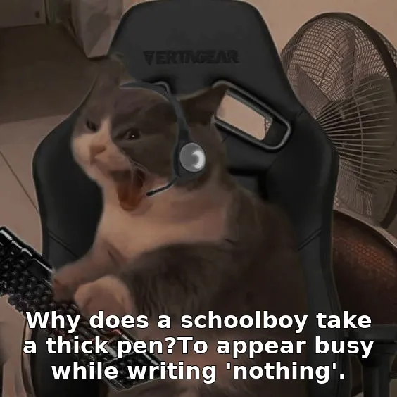 Why does a schoolboy take a thick pen?To appear busy while writing 'nothing'.