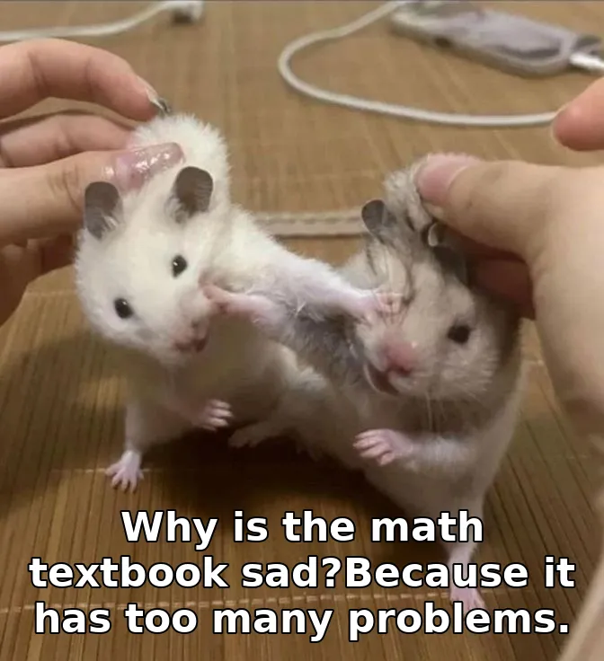 Why is the math textbook sad?Because it has too many problems.