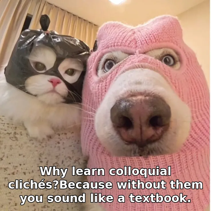 Why learn colloquial clichés?Because without them you sound like a textbook.