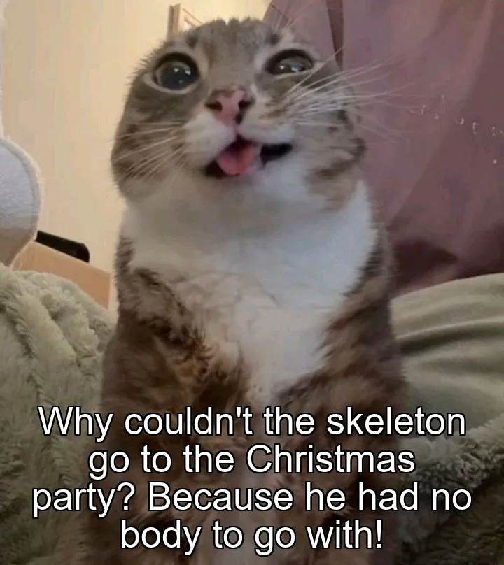 Why couldn't the skeleton go to the Christmas party? Because he had no body to …
