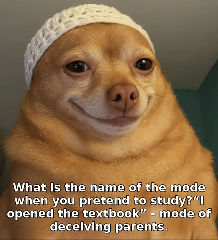 What is the name of the mode when you pretend to study?“I opened the textbook” …