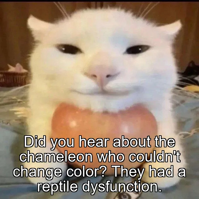 Did you hear about the chameleon who couldn't change color? They had a reptile …
