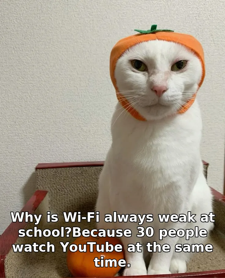 Why is Wi-Fi always weak at school?Because 30 people watch YouTube at the same …