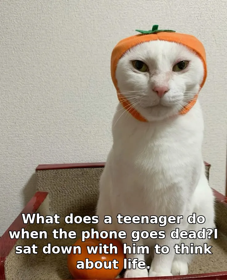 What does a teenager do when the phone goes dead?I sat down with him to think a…