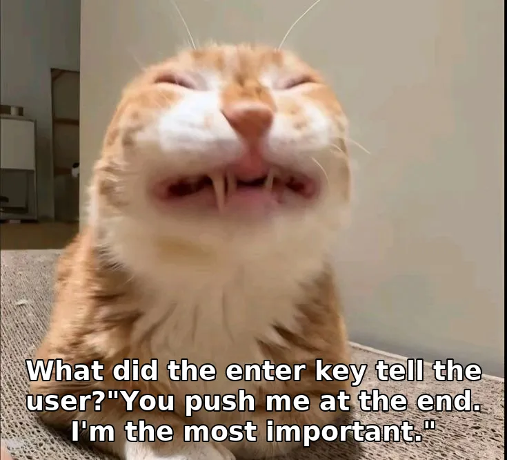 What did the enter key tell the user?"You push me at the end. I'm the most important."