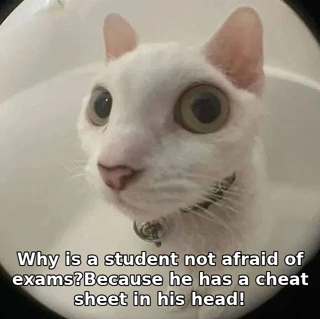 Why is a student not afraid of exams?Because he has a cheat sheet in his head!