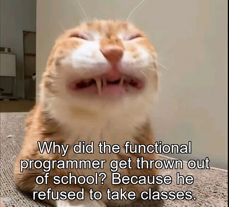 Why did the functional programmer get thrown out of school? Because he refused to take classes.