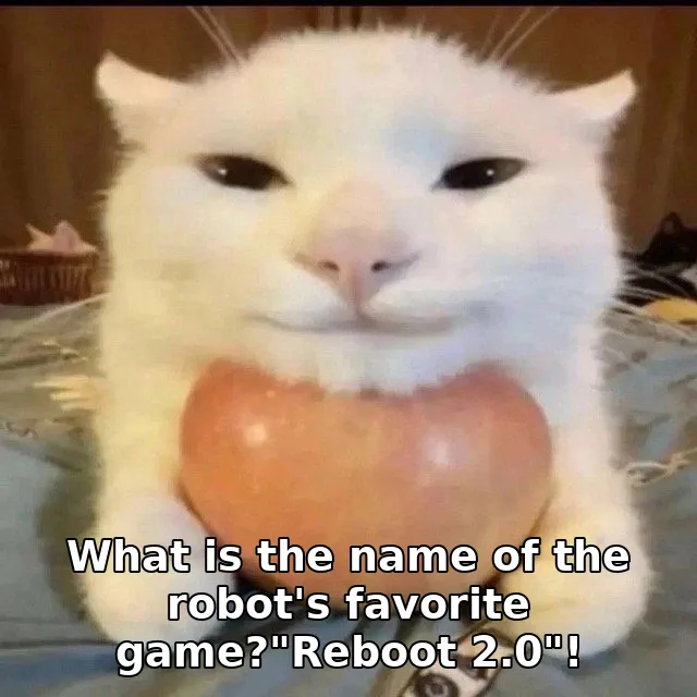 What is the name of the robot's favorite game?"Reboot 2.0"!