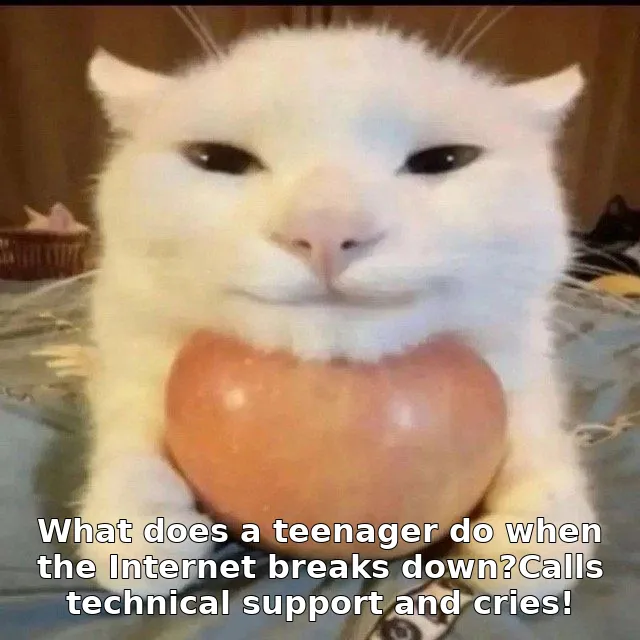 What does a teenager do when the Internet breaks down?Calls technical support and cries!