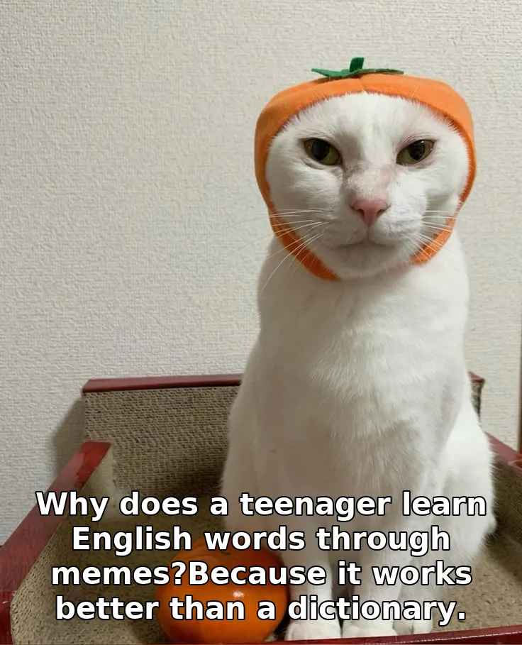 Why does a teenager learn English words through memes?Because it works better t…