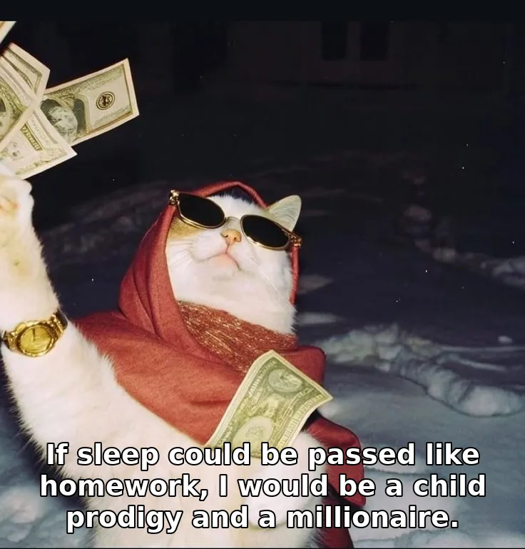 If sleep could be passed like homework, I would be a child prodigy and a millio…