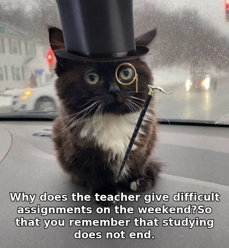 Why does the teacher give difficult assignments on the weekend?So that you remember that studying does not end.