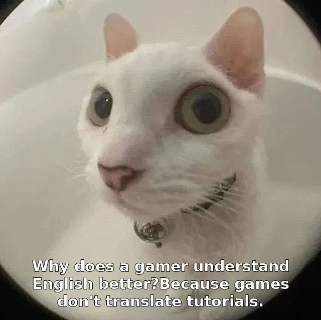 Meme image