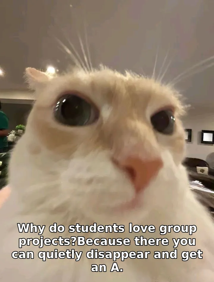 Why do students love group projects?Because there you can quietly disappear and…