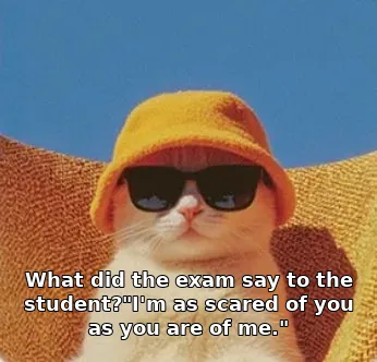 Meme image