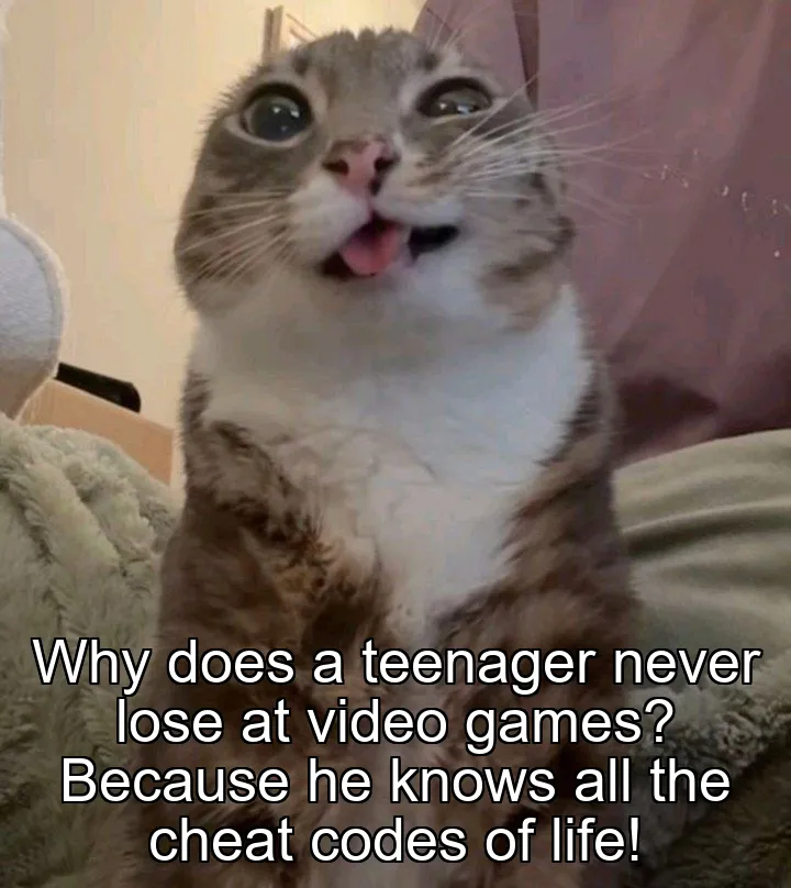 Why does a teenager never lose at video games? Because he knows all the cheat c…