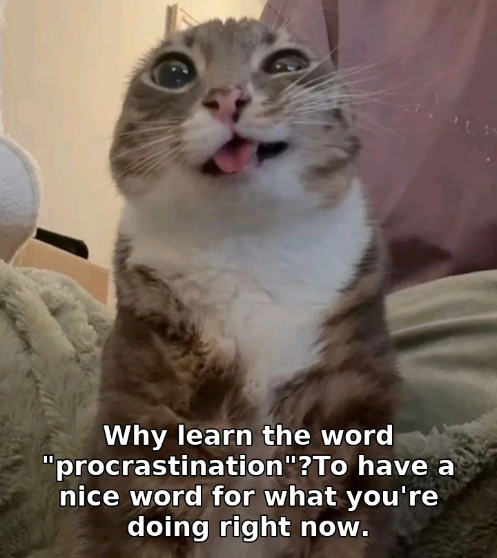 Why learn the word "procrastination"?To have a nice word for what you're doing …
