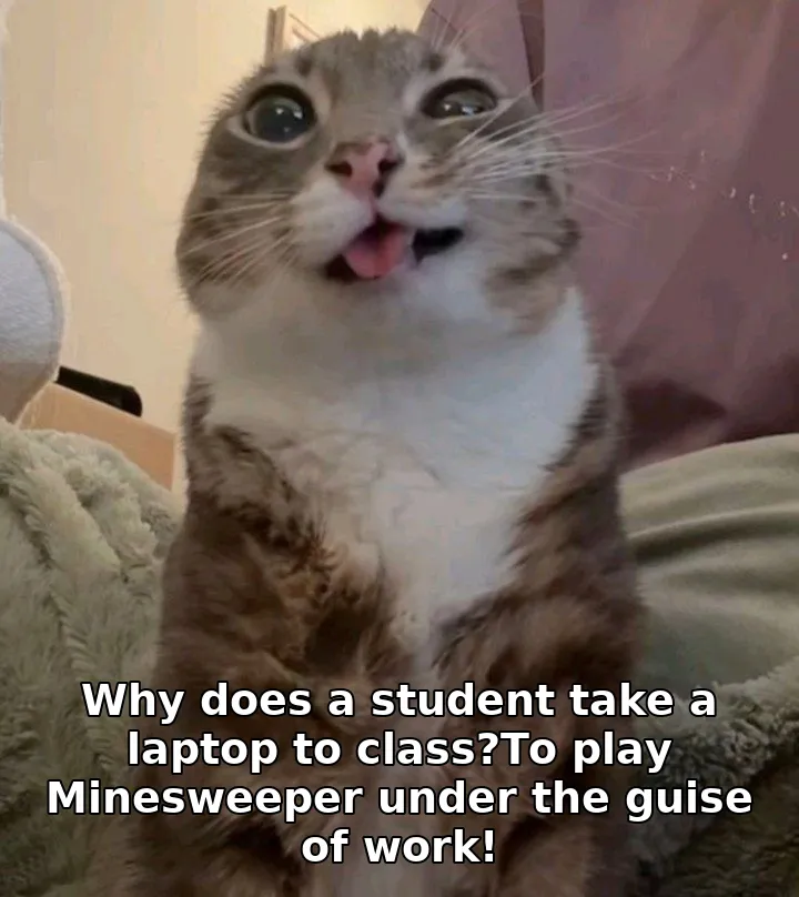 Why does a student take a laptop to class?To play Minesweeper under the guise o…