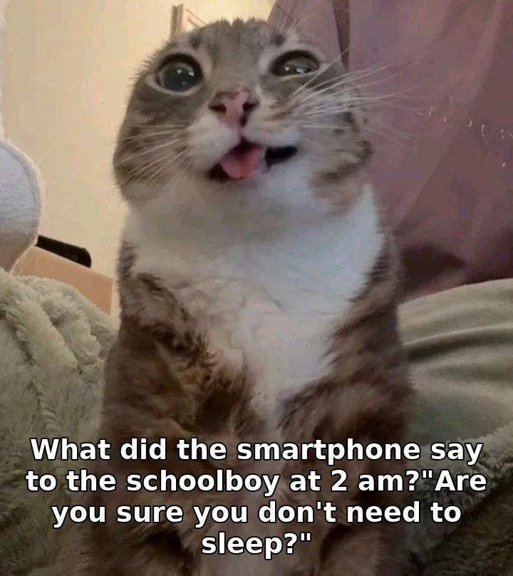 What did the smartphone say to the schoolboy at 2 am?"Are you sure you don't ne…