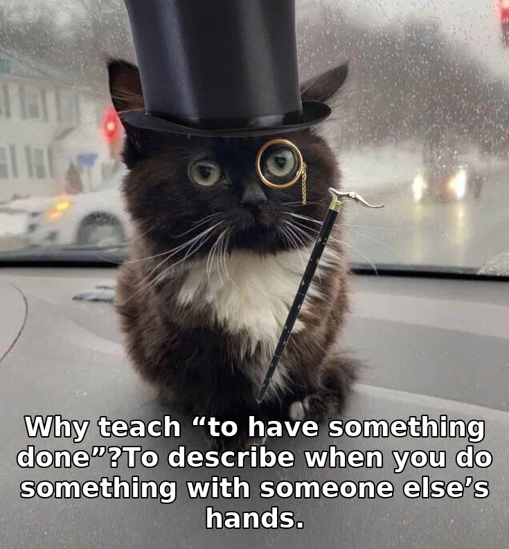 Meme image