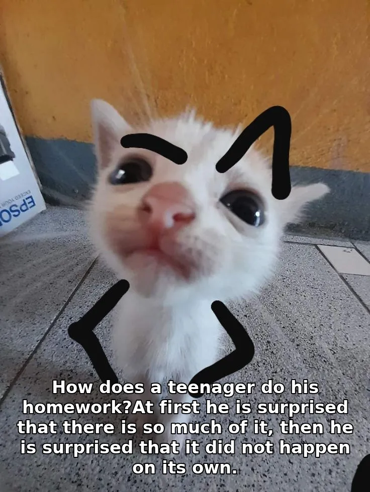 Meme image