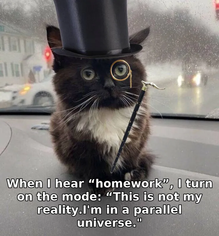 When I hear “homework”, I turn on the mode: “This is not my reality.I'm in a pa…