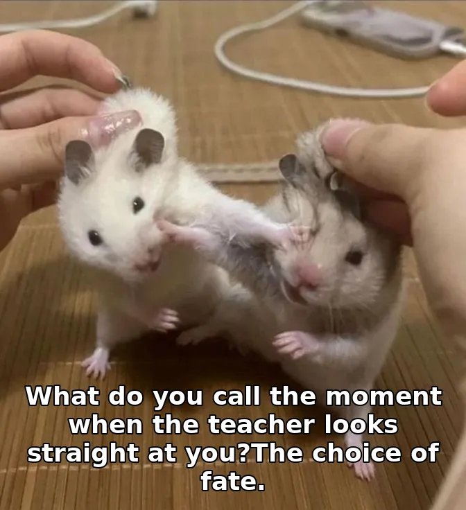 What do you call the moment when the teacher looks straight at you?The choice o…
