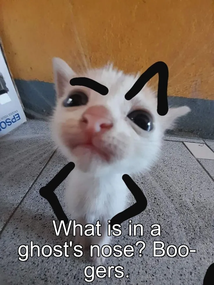What is in a ghost's nose? Boo-gers.