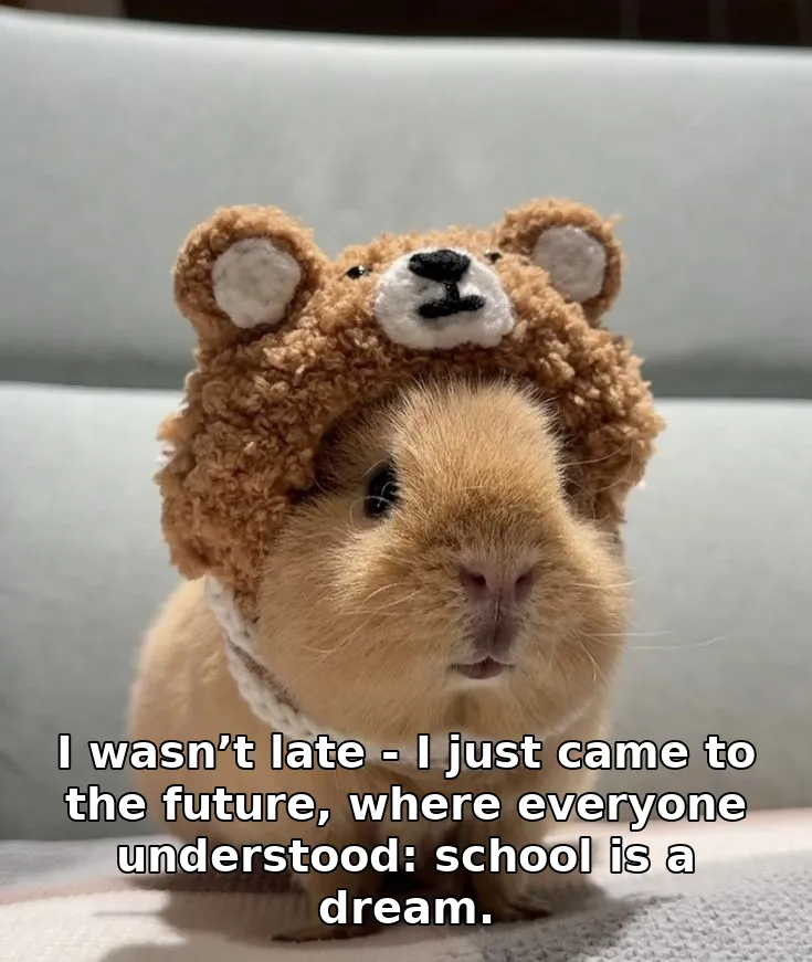I wasn’t late - I just came to the future, where everyone understood: school is a dream.