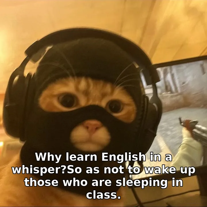 Why learn English in a whisper?So as not to wake up those who are sleeping in c…