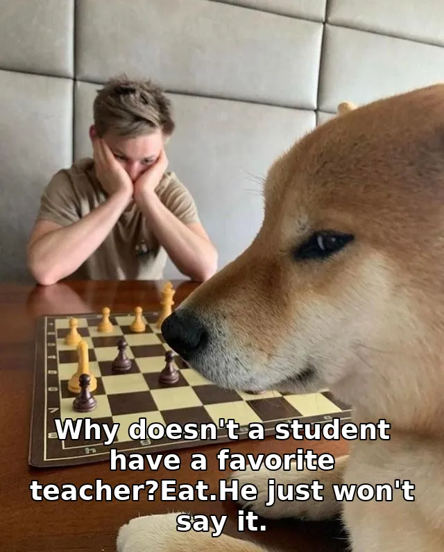 Why doesn't a student have a favorite teacher?Eat.He just won't say it.