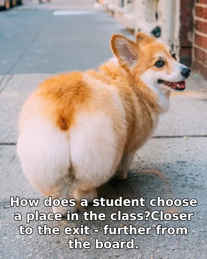 How does a student choose a place in the class?Closer to the exit - further fro…