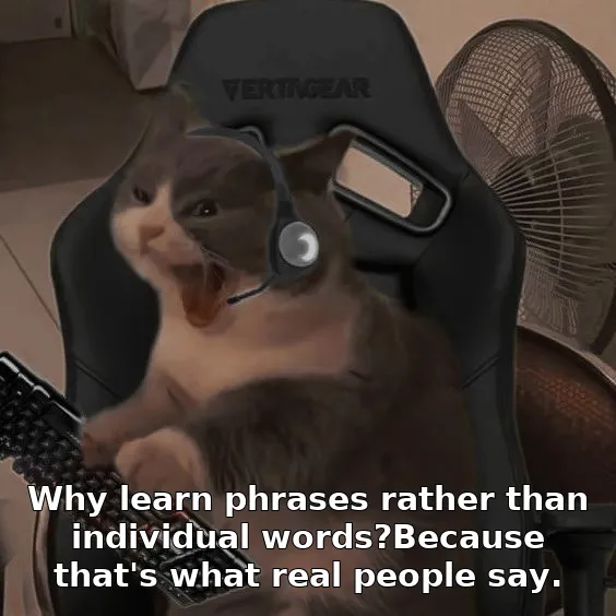 Why learn phrases rather than individual words?Because that's what real people say.