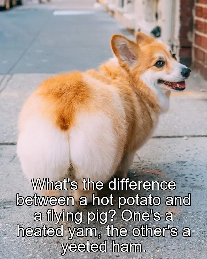 What's the difference between a hot potato and a flying pig? One's a heated yam…