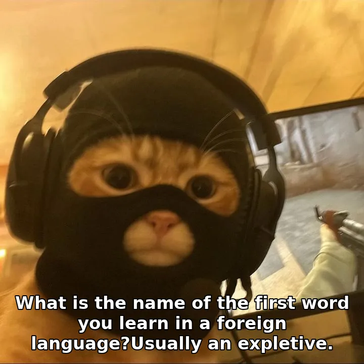 What is the name of the first word you learn in a foreign language?Usually an e…